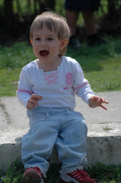 dsc 0471a