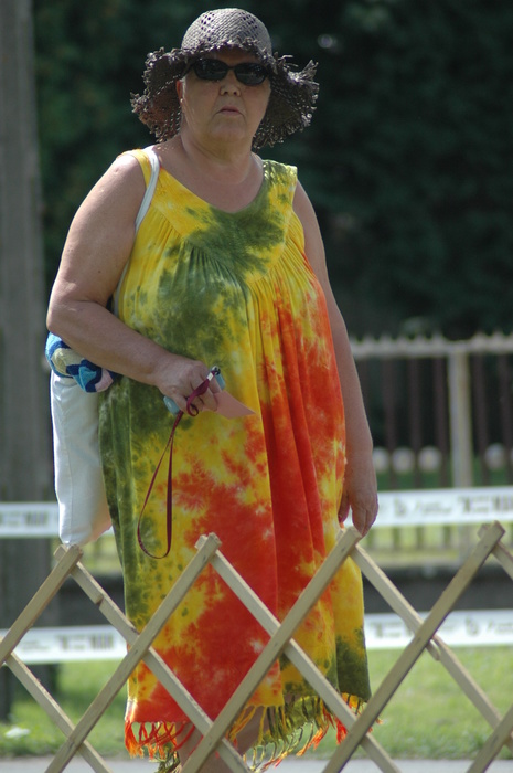 dsc 3740