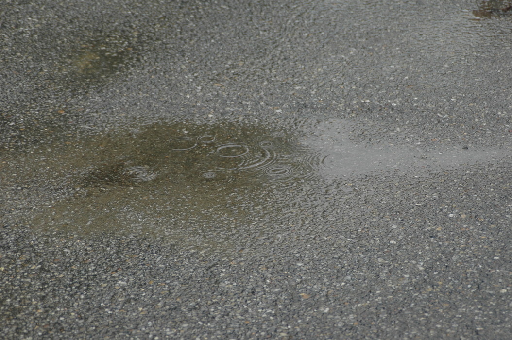 dsc 3778