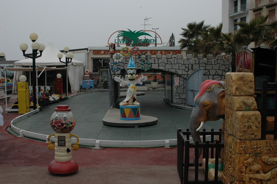 dsc 8024