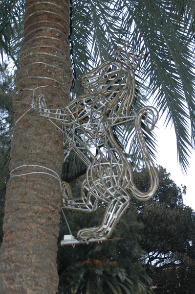 dsc 8105