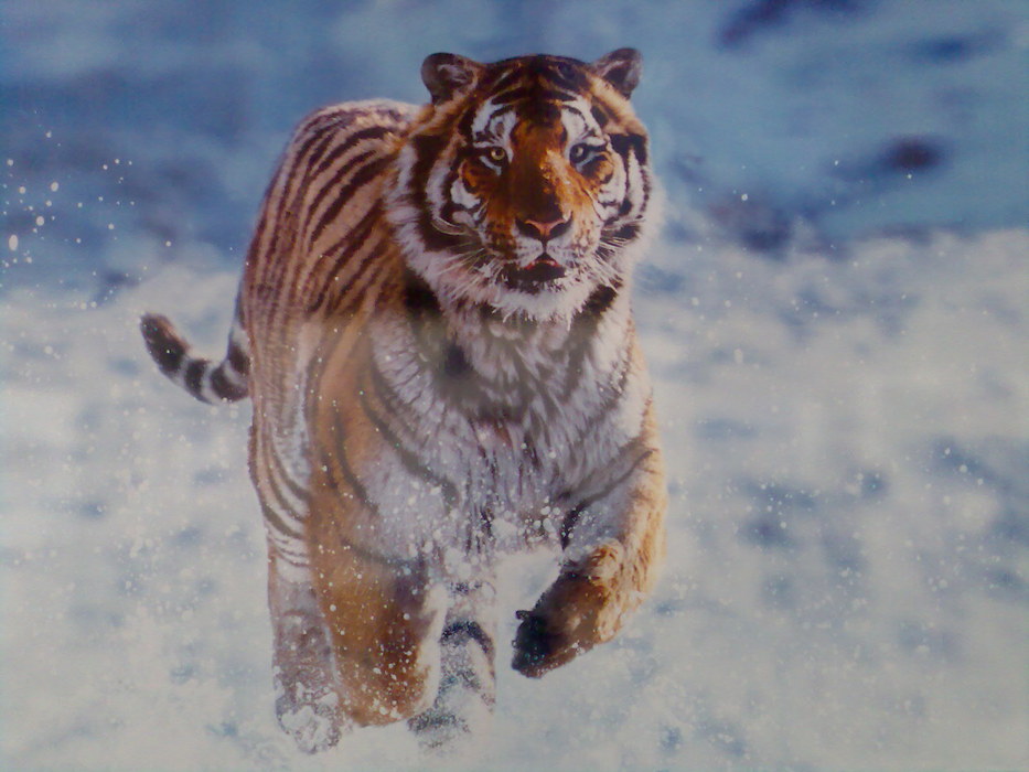 Image051