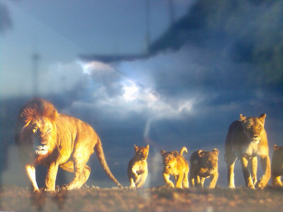 Image055